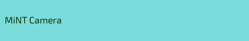 MiNT Camera